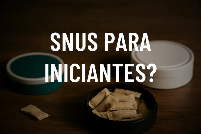 Qual o Melhor Snus para Iniciantes?