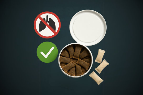 Snus Faz Mal? Entenda os Riscos e Benefícios de Usar Snus e Nicotine Pouches